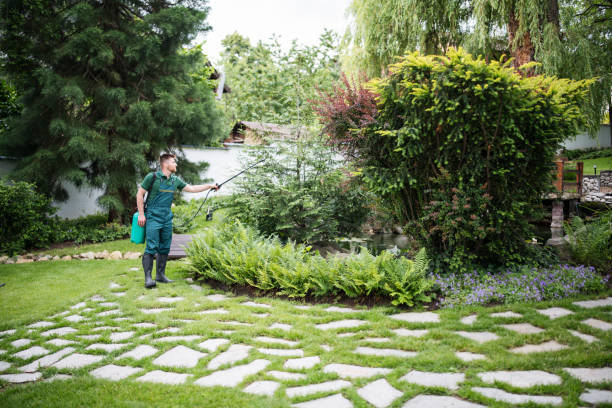 Best Ant Control Services  in Big Bass Lake, PA