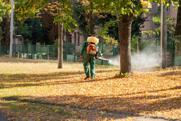 Best Pest Inspection Near Me  in Big Bass Lake, PA