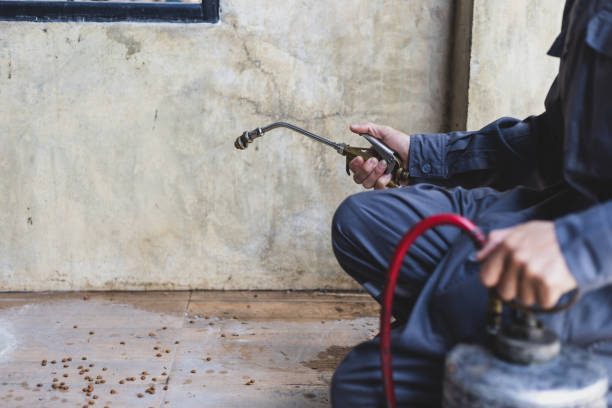 Best Flea Control Services  in Big Bass Lake, PA